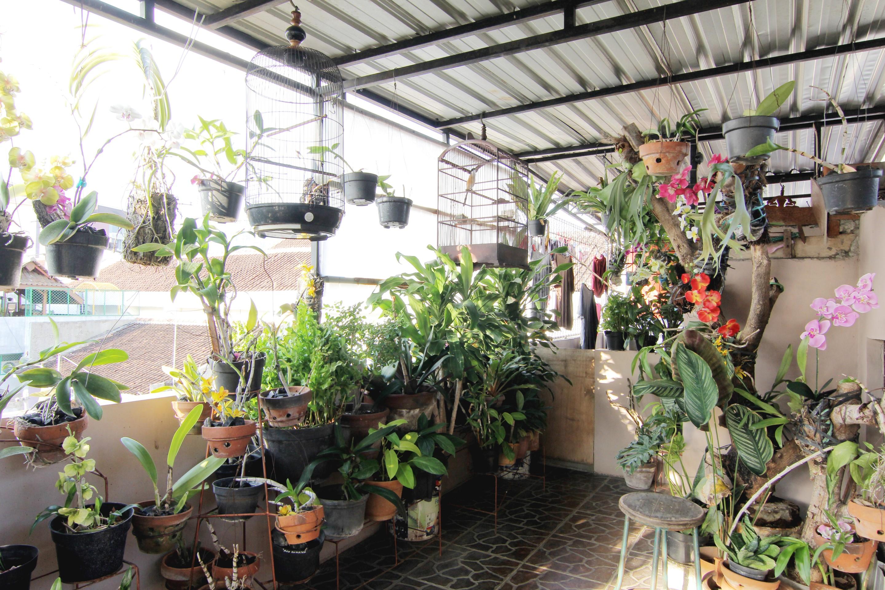 יוגיאקרטה Wanderlust Homestay מראה חיצוני תמונה
