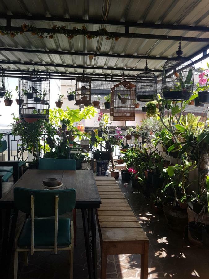 יוגיאקרטה Wanderlust Homestay מראה חיצוני תמונה